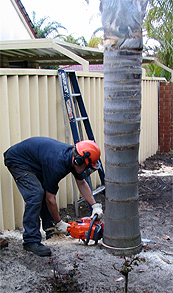base cutting