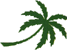 Palms to the Ground